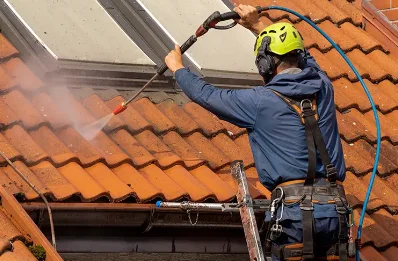 Démoussage et hydrofuge de toiture à Trinay